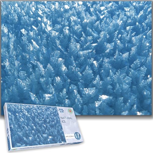 All Jigsaw Puzzles AJP13019 Natureis 1000 Stück Impuzzible von All Jigsaw Puzzles