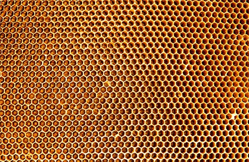 Schwere Puzzles – Impuzzible Bee Hive Natural 1000-teiliges Puzzle für Erwachsene – 66 cm x 50 cm – herausfordernde Puzzles, tolles Geschenk für alle Altersgruppen (Im Bienenstock) von All Jigsaw Puzzles