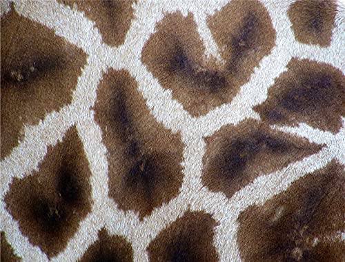 1000 Teile schwierige Puzzles für Erwachsene – Impossible Impuzzibles Giraffe Wildtier – 66 cm x 50 cm – herausforderndes Puzzle, tolles Geschenk für Erwachsene von All Jigsaw Puzzles