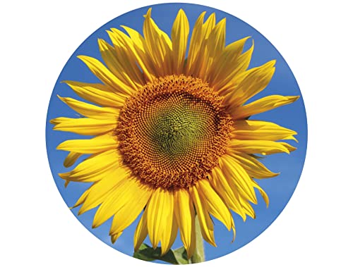 Puzzle mit Sonnenblume, 400 Teile von All Jigsaw Puzzles