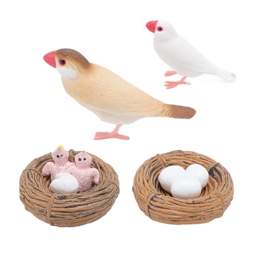 Alomejor Finch Bird Life Cycle Model Set Toy, Pädagogische PVC -Figuren für Frühes Lernen Science Spielzeug Alomejor Finch Bird Life Cycle Model Set Toy, Pädagogische PVC -Figuren für Frühes Lernen Science Spielzeug von Alomejor