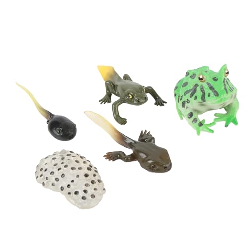 Alomejor Kaulquappenwachstumszyklus, PVC -Lebenszyklus -Modell Set Bildungsbiologiespielzeug für und Unterricht Im Klassenzimmer Alomejor Kaulquappenwachstumszyklus, PVC -Lebenszyklus -Modell Set Bildungsbiologiespielzeug für und Unterricht Im Klassenzimmer von Alomejor
