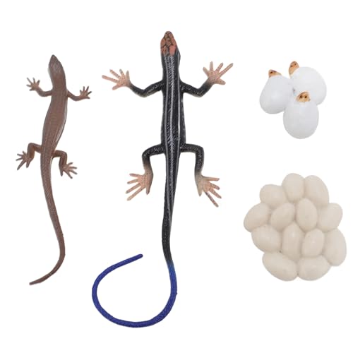Alomejor Skink Life Cycle Toy Figuren, PVC Animal Learning Pädagogische Spielzeug -Figuren für Bildungsspielzeit von Alomejor