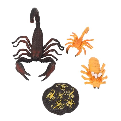 Alomejor Skorpionmodell, Flexible Simulationsreptilienmodell für , Realistisches Wachstumszyklusspielzeug mit PVC -Material, Kinderkognitive Lernverzierung von Alomejor