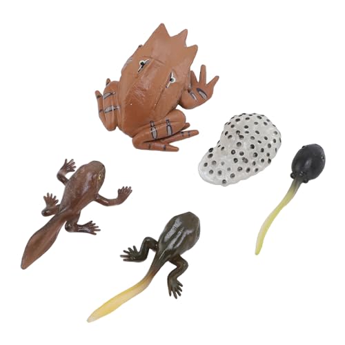 Alomejor Tiermodell Spielzeugset, PVC -Wachstumszyklus Bildungsspielzeug für Wohnkultur Im Vorschullernaktivitäten Alomejor Tiermodell Spielzeugset, PVC -Wachstumszyklus Bildungsspielzeug für Wohnkultur Im Vorschullernaktivitäten von Alomejor