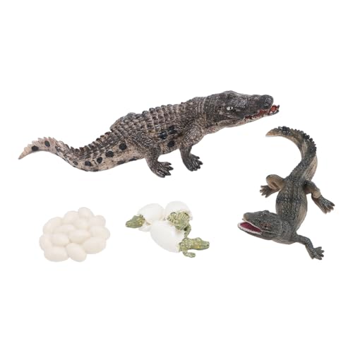 Alomejor Tierwachstumslebenszyklus Modell Set, Lebensechte PVC -Kognition Reptilienfiguren Bildungsspielzeug für Kinder Kinder Alomejor Tierwachstumslebenszyklus Modell Set, Lebensechte PVC -Kognition Reptilienfiguren Bildungsspielzeug für Kinder Kinder von Alomejor