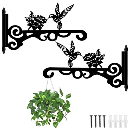 Alongen 2pcs Metall Eisen Pflanze Wandhaken Rostbeständig Starke Last Lager Windglocke Wandhänger mit Vogel Blumen Muster für Garten im Freien Alongen 2pcs Metall Eisen Pflanze Wandhaken Rostbeständig Starke Last Lager Windglocke Wandhänger mit Vogel Blumen Muster für Garten im Freien von Alongen