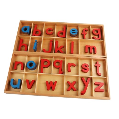 Amagogo Bewegliches Alphabet mit Box Rechtschreibung Lernspielzeug Vorschulunterrichtshilfen, Alphabetsprachobjekte für Konsonanten Rechtschreibung von Amagogo