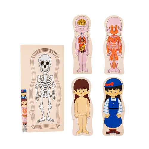 Amagogo Holzpuzzle-Spielzeug „Der menschliche Körper“, Puzzle mit menschlichen Körperteilen für Kinder, Alter 3 4 5 6, Mädchen von Amagogo