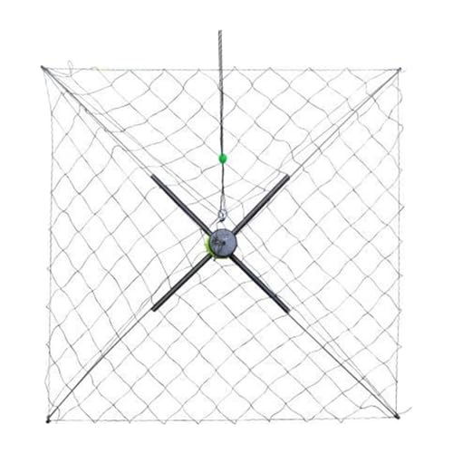 Amagogo Krabbennetz, Angelkäfig, tragbar, aus Stahl, automatisch entfaltbar, Robustes Krabbenwerkzeug für Garnelenreservoirs, Angelzubehör, Große Maschen, Ausgeklappt 50cm von Amagogo