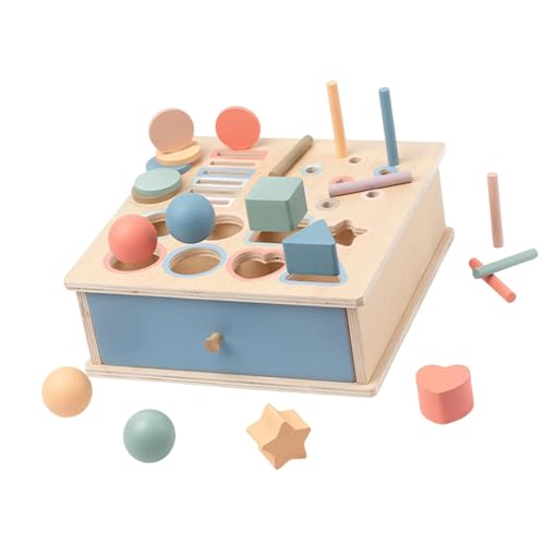 Amagogo Objekt Beständigkeit Box, Drop Box Feinmotorische Fähigkeiten Entwicklung Farbform Sorter Holz für Jungen Mädchen Kinder Kinder, 4 in 1 von Amagogo