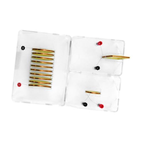 Amagogo Stromfeldexperiment Elektromagnetisches Feld Demonstrator Elektrizitätskreis -Experiment für Geburtstagsgeschenk von Amagogo