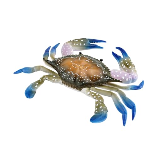 Amagogo Tierfigur, Tiermodell, Lebewesen aus der Tiefe des Unterwasserlebens, lustiges Meerestiermodell, Meerestier als Geschenk fürs Büro von Amagogo
