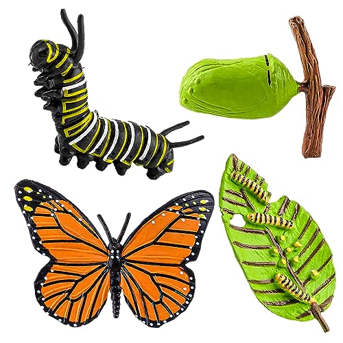 Amaxiu 4 Stück Insektenfiguren, Lebenszyklus von Schmetterlingen Wachstumsmodell realistische Tierfiguren Insekten Schmetterlingszyklusmodell Vorschule Lernen Bildung Wachstumsstadium von Amaxiu