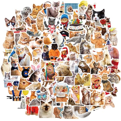Amaxiu Lustige Vinyl Katzenaufkleber, 100 Stück interessant süße Katzenaufkleber Wasserfeste Aufkleber Wasserflaschen ästhetische Kawaii Kätzchenaufkleber für Katzenliebhaber Scrapbook (100 Stück, B) Amaxiu Lustige Vinyl Katzenaufkleber, 100 Stück interessant süße Katzenaufkleber Wasserfeste Aufkleber Wasserflaschen ästhetische Kawaii Kätzchenaufkleber für Katzenliebhaber Scrapbook (100 Stück, B) von Amaxiu