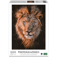 AMBASSADOR 7230785 Puzzle 1000 Teile Löwenkopf (Donal Boyd) Photographers Collection Instagram von Ambassador