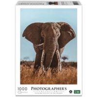 AMBASSADOR PC1010_DB Erwachsenenpuzzle 1000 Teile Afrikanischer Elefant (Donal Boyd) von Ambassador