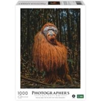 AMBASSADOR PC1012_DB Erwachsenenpuzzle 1000 Teile Orang-Utan (Donal Boyd) von Ambassador