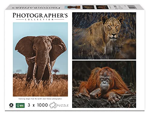 Ambassador 7230788 Wildtiere Blickkontakt, 3x1000 Teile Puzzle für Erwachsene und Kinder ab 10 Jahren, Photographer's Collection, Donal Boyd Ambassador 7230788 Wildtiere Blickkontakt, 3x1000 Teile Puzzle für Erwachsene und Kinder ab 10 Jahren, Photographer's Collection, Donal Boyd von Ambassador