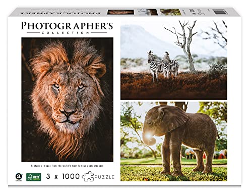 Ambassador 7230789 Wildtiere Afrika, 3x1000 Teile Puzzle für Erwachsene und Kinder ab 10 Jahren, Photographer's Collection, Donal Boyd von Ambassador