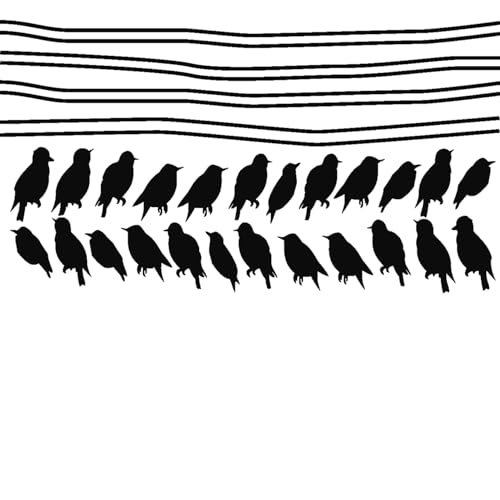 Wandtattoo "Stängel auf Kabel" Wanddekoration, Wanddekoration, Motiv: Vögel, 440 cm + 24 Vögel, Schwarz Wandtattoo "Stängel auf Kabel" Wanddekoration, Wanddekoration, Motiv: Vögel, 440 cm + 24 Vögel, Schwarz von Ambiance Sticker