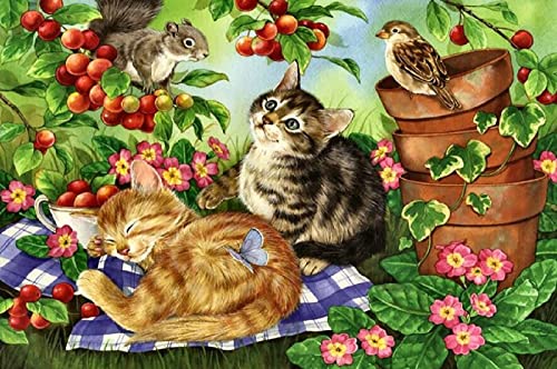 1000 Teile Puzzle Katze und Schmetterling Basteln Geschenk Familie Klassisches Puzzle für Erwachsene von Amdieu