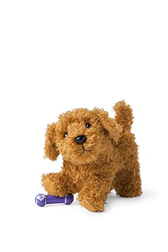 American Girl Truly Me 45,7 cm große Puppe, Narzissen-Doodle Hund mit magnetischem Mund zum Halten ihrer Langhantel, Spielzeug, ab 6 Jahren von American Girl