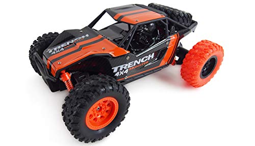 Amewi 22400 Desert Truck Max Fox 1:24 RTR orange/schwarz von Amewi