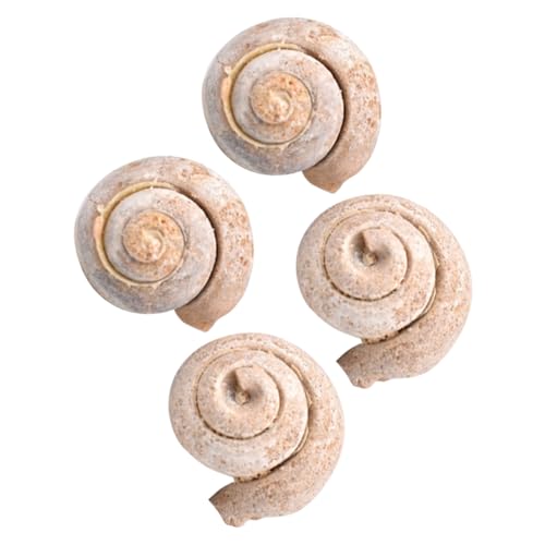 Amosfun 1 Satz Teiliges Schneckenfossil Dekorationsset Pädagogisches Lehrmittel Für Paläontologie Tischschmuck Für Klassenzimmer Für Freunde 4 Stück Amosfun 1 Satz Teiliges Schneckenfossil Dekorationsset Pädagogisches Lehrmittel Für Paläontologie Tischschmuck Für Klassenzimmer Für Freunde 4 Stück von Amosfun