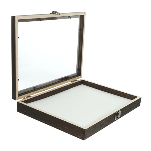 Amosfun 1 Set-Box Kästchen mit Insektenproben Vitrine für Insektenexemplare Anzeige Insektenvorbereitungsbox Schaukasten für Insekten schmuckkästchen aufbewahrungskorb Probenbehälter Acryl von Amosfun