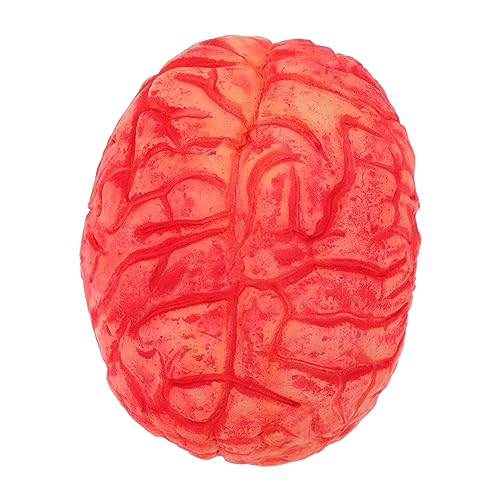 Amosfun 1 Stück Halloween-Simulation Gehirn Gefälschter Körper Prop Blut Gefälschte Körperteile Halloween-Dekor Künstliches para Stofftiere Rotes Füllwerkzeug Vinyl Menschliche von Amosfun