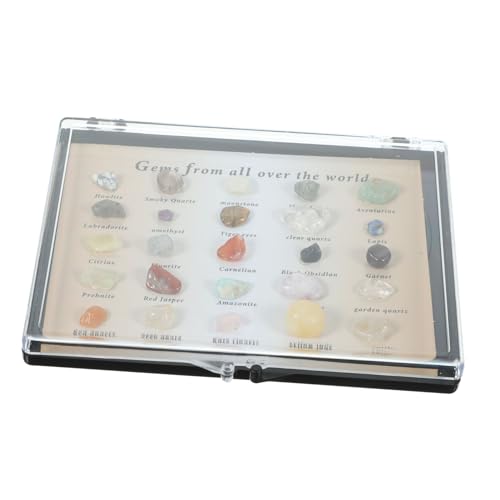 Amosfun Natürliche Mineralsteine Set Arten Polierte Und Edelsteine Für Dekoration Und Geologieunterricht Unregelmäßige Steindekoration Für Zuhause Und Büro Amosfun Natürliche Mineralsteine Set Arten Polierte Und Edelsteine Für Dekoration Und Geologieunterricht Unregelmäßige Steindekoration Für Zuhause Und Büro von Amosfun