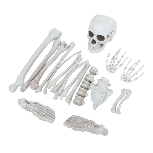 Amosfun 1Satz Teiliges Menschliche Skelettknochen Dekoration Realistische Schädel Requisiten für Halloween Spooky Deko für Escape Spiele von Amosfun