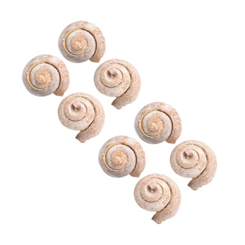 Amosfun 2 Sätze Teiliges Schneckenfossil Modellset Lehrmittel Für Paläontologie Deko Für Partys Geburtstage Und Bildungszwecke Pädagogisches Für Hochwertiges Design 4 Stück * 2 von Amosfun