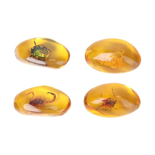 Amosfun 4 Stück Insekten Probe Bernstein Natürliche Bernsteinproben Bezaubernde Exemplare Empfindliche Kristallproben Bernstein Anhänger Dekorative Exemplare Kunstharz Golden von Amosfun