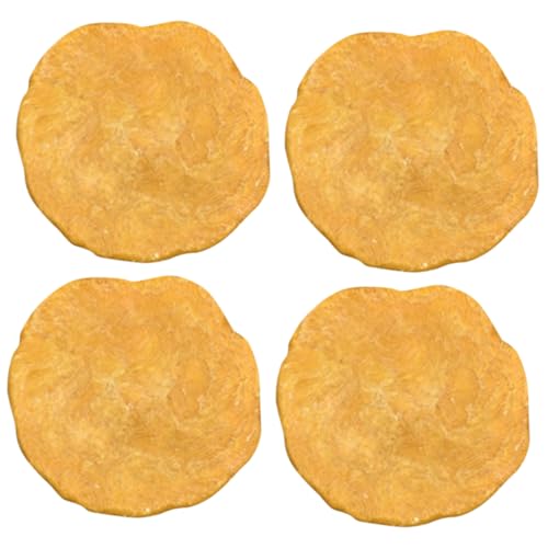 Amosfun 4 Stück Teiliges Ägyptische Nummulites Fossilien Lehrmaterial für Unterricht Dekorationsobjekte und Tischschmuck für Bildungszwecke und Sammler von Amosfun