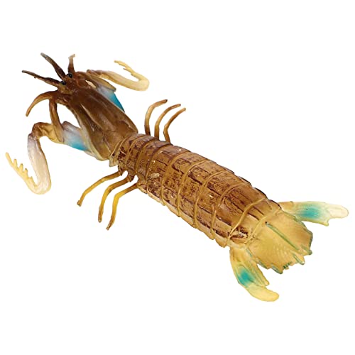 Amosfun Abnutzungsbeständiges Kleines Lebensechtes Mantis Shrimp Modell Farbenfrohes Sensorisches Lernspielzeug für Jungen und Mädchen Langlebiges Pädagogisches Amosfun Abnutzungsbeständiges Kleines Lebensechtes Mantis Shrimp Modell Farbenfrohes Sensorisches Lernspielzeug für Jungen und Mädchen Langlebiges Pädagogisches von Amosfun