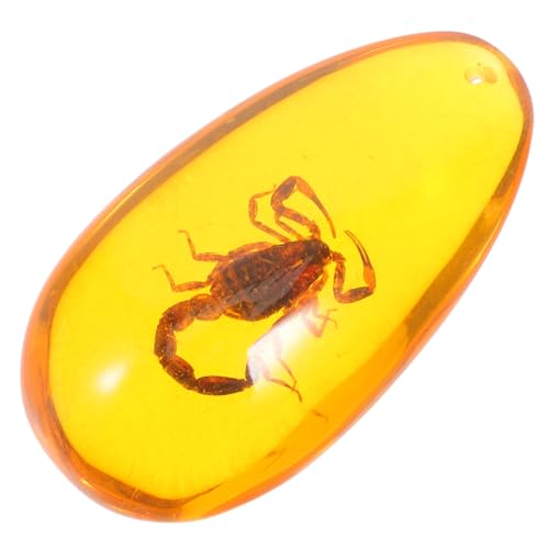 Amosfun Bernstein Insekt Harz Bernstein Stein Probe Einzigartige Steine ​​Insekten von Amosfun