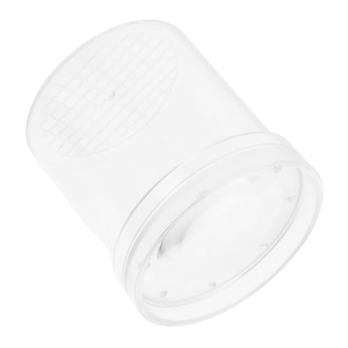 Amosfun Box Vergrößerungsglas Bug Collector Cricket Cage Bug Catcher Kit Bug Viewer Kunststoff Transparent Amosfun Box Vergrößerungsglas Bug Collector Cricket Cage Bug Catcher Kit Bug Viewer Kunststoff Transparent von Amosfun