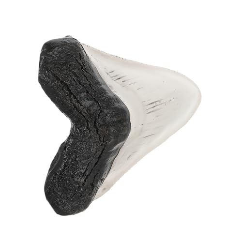 Amosfun Fake Fossilized Shark Decoration Model für Sammlungen Lehrzwecke Kleine Langlebiges Material Einzigartiges Design für Retro von Amosfun