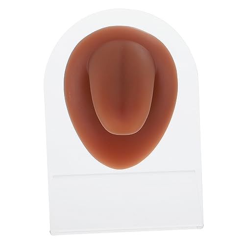 Amosfun Flexibles Zungenmodell Realistische Hautstruktur Wiederverwendbares Piercing Übungsmodell für Schüler und Medizinische Ausbildung und Displaywerkzeug Amosfun Flexibles Zungenmodell Realistische Hautstruktur Wiederverwendbares Piercing Übungsmodell für Schüler und Medizinische Ausbildung und Displaywerkzeug von Amosfun