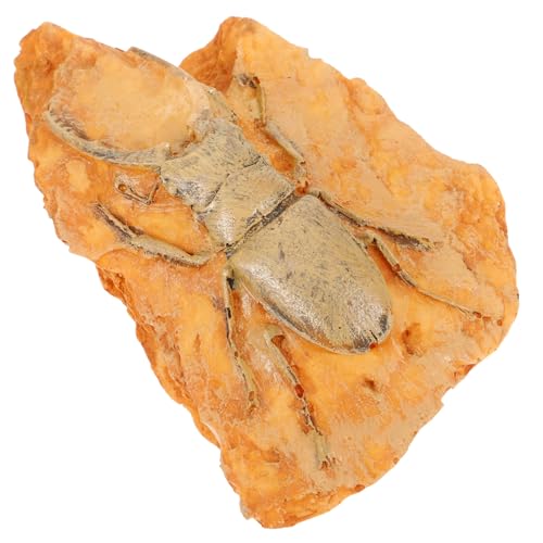 Amosfun Fossiliendekoration Insekt für den naturwissenschaftlichen Unterricht Harz für Insektenproben Exemplar aus Insektenharz Insektenexemplar Alte Insektenprobe Insekt als Probe von Amosfun