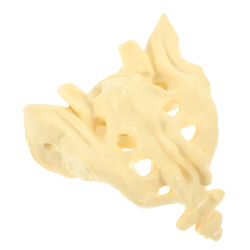 Amosfun Kompaktes Leichtes Sacrum Modell aus Robustem PVC Anatomisches Becken knochenmodell für Medizinische Ausbildung Patientenerklärung Langlebig Waschbar für Ärzte und von Amosfun