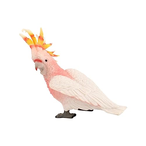 Amosfun -Modell Papageienmodell- Aus Kunststoff Kinderspielzeug Simulation Papagei Requisite Kleines Papageienmodell Vogel Tiermodell Simuliertes Papageienmodell Plastik Amosfun -Modell Papageienmodell- Aus Kunststoff Kinderspielzeug Simulation Papagei Requisite Kleines Papageienmodell Vogel Tiermodell Simuliertes Papageienmodell Plastik von Amosfun