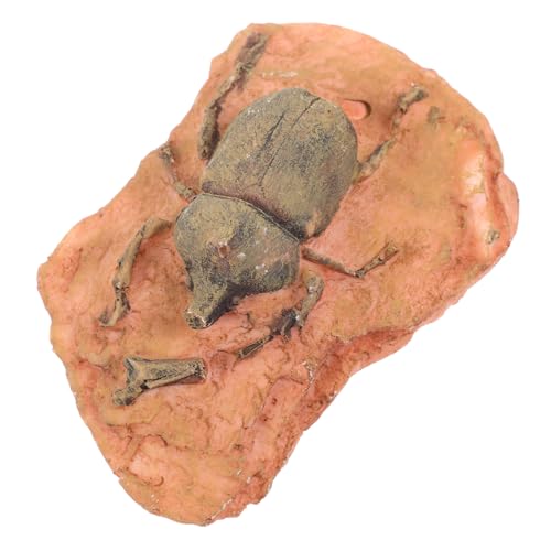 Amosfun Paleontologische Fossilien Dekoration Kompakte Insektensammlung für Heimdekoration aus Sicherem Material für Bildungszwecke Stilvolle Präsentation Amosfun Paleontologische Fossilien Dekoration Kompakte Insektensammlung für Heimdekoration aus Sicherem Material für Bildungszwecke Stilvolle Präsentation von Amosfun