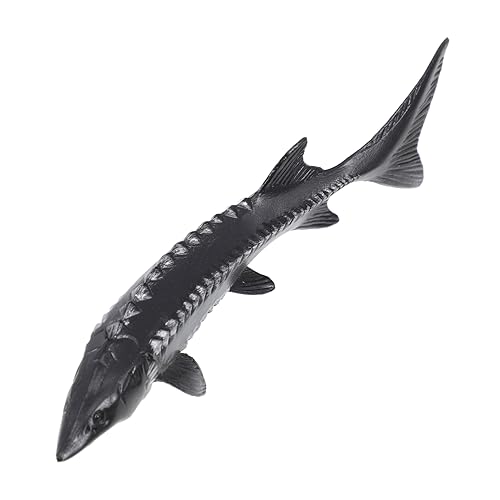 Amosfun Realistisches Simulation Chinesischer Stör Modell aus Hochwertigem Pädagogisches Meerestier und Aquarium Deko Sicher und Verschleißfest für Wohnraumgestaltung Amosfun Realistisches Simulation Chinesischer Stör Modell aus Hochwertigem Pädagogisches Meerestier und Aquarium Deko Sicher und Verschleißfest für Wohnraumgestaltung von Amosfun