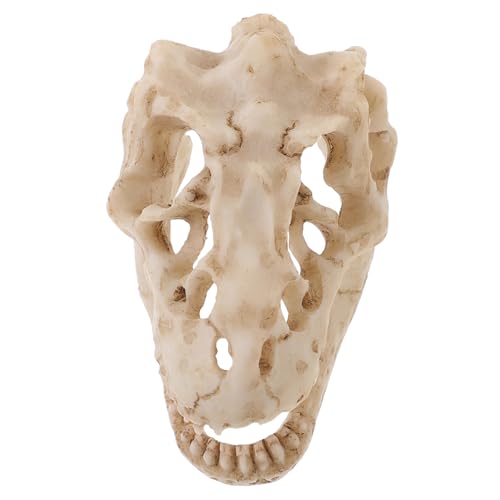 Amosfun Schädelmodell Knochen Wunderlich Skelett Schädelverzierung Party Schädelfigur Modell-Dinosaurier-Schädel Dinosaurier-Schädel-Ornament -Ornament Halloween Harz von Amosfun