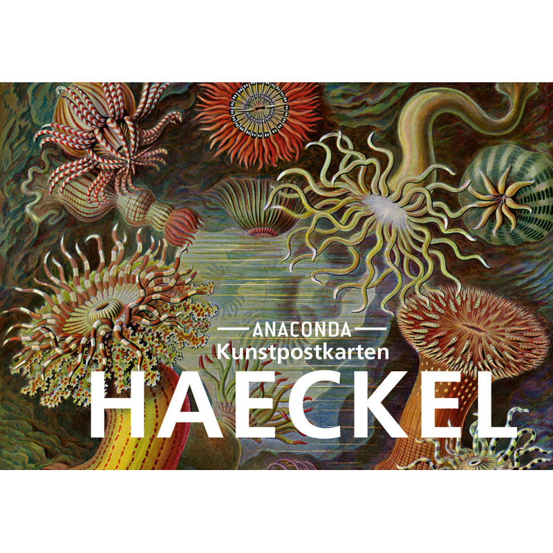 Postkarten-Set Ernst Haeckel von Anaconda