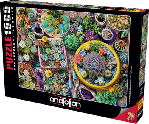 Anatolian Puzzle 1000 pièces : Pots de Cactus Anatolian Puzzle 1000 pièces : Pots de Cactus von Anatolian