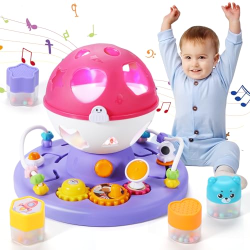 Anby families Baby Spielzeug ab 2 Jahr Mädchen Junge,Formensortierspiel Musikspielzeug mit Musik/Licht,Lernspielzeug Geschenk Babyspielzeug ab 18 Monate von Anby families